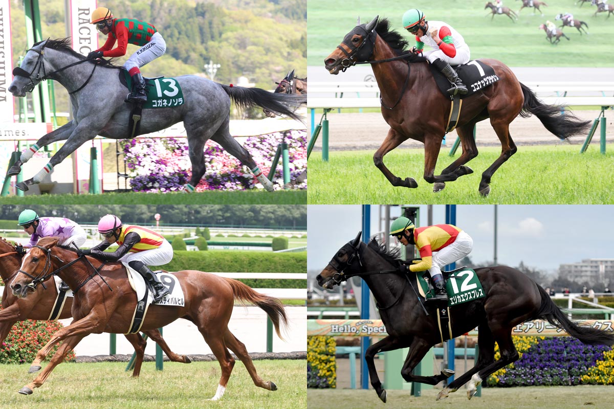 ハーツクライ産駒が史上6頭目のJRA通算1600勝達成【京都4R】 | 競馬
