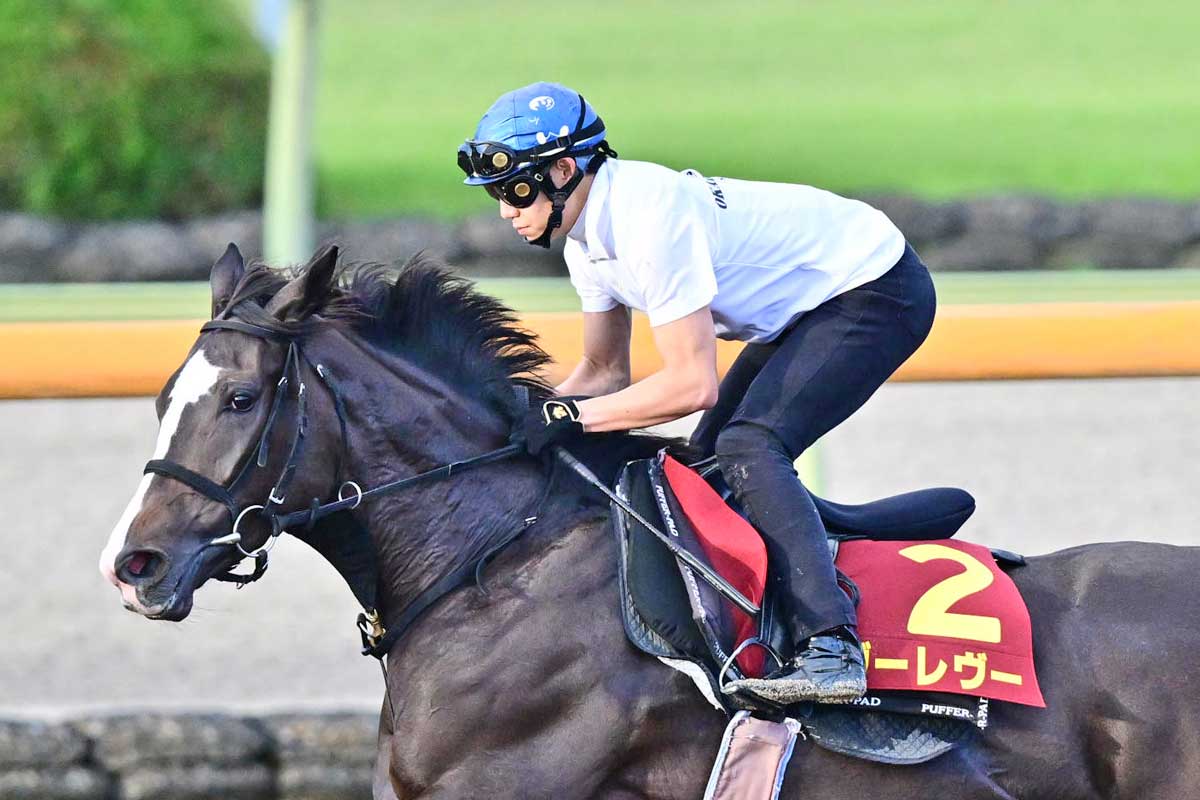 川田将雅が阪神9Rで落馬も自ら立ち上がり検量室へ 次の10Rを断然