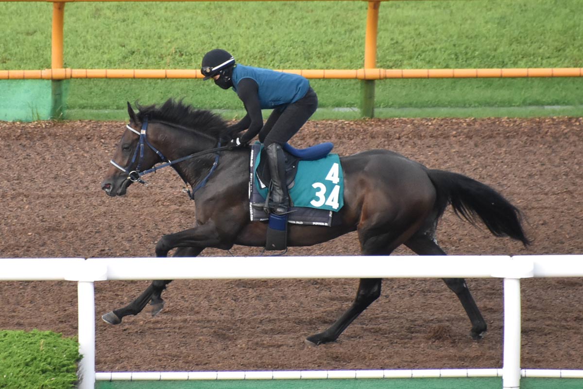 新種牡馬ポエティックフレア産駒リアライズシリウスが7馬身差逃げ切り