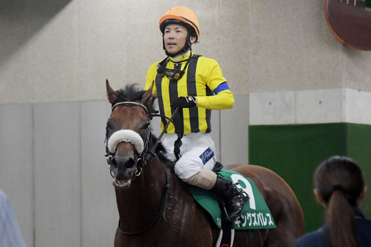 新潟記念】ド根性で勝ち取った！重賞初V シンリョクカ強さの源は