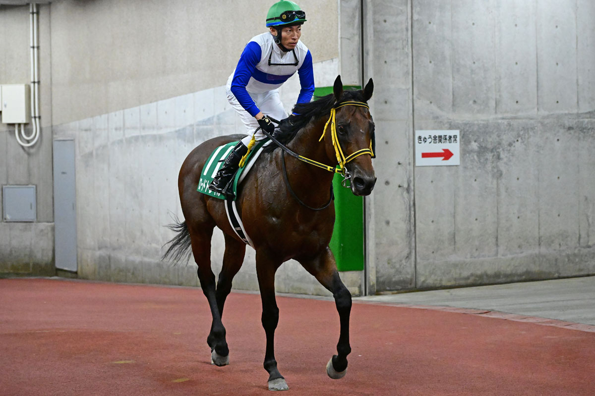 中京競馬記者クラブ賞は坂井瑠星騎手 中京GⅠを3連勝中で「4走、5