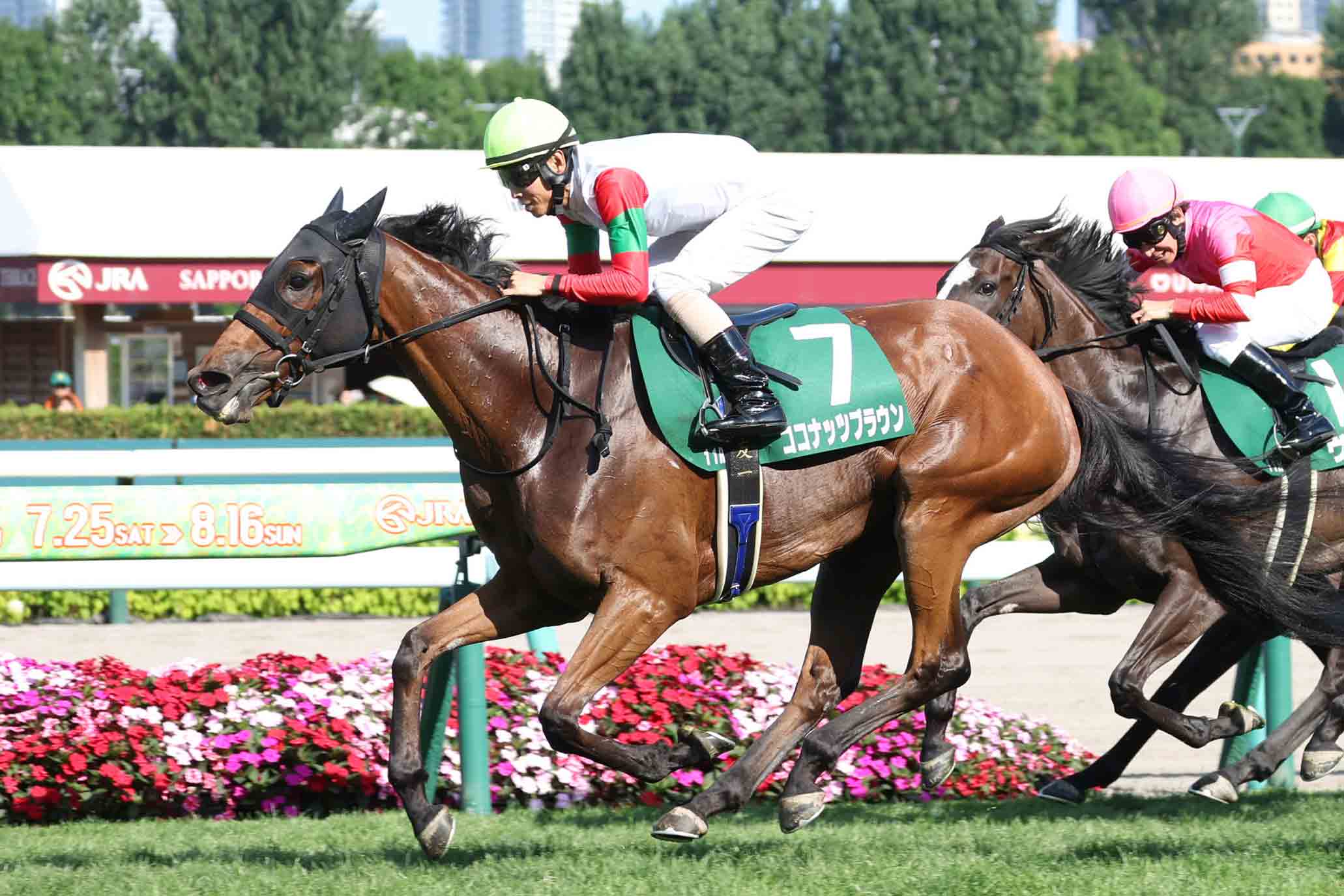 サウジカップ】パンサラッサが〝歴史的逃走劇〟完遂 1着賞金13億