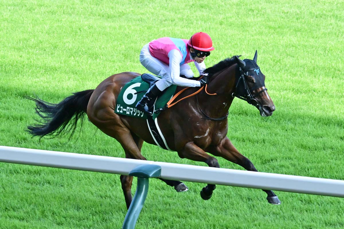 サウジカップ】パンサラッサが〝歴史的逃走劇〟完遂 1着賞金13億