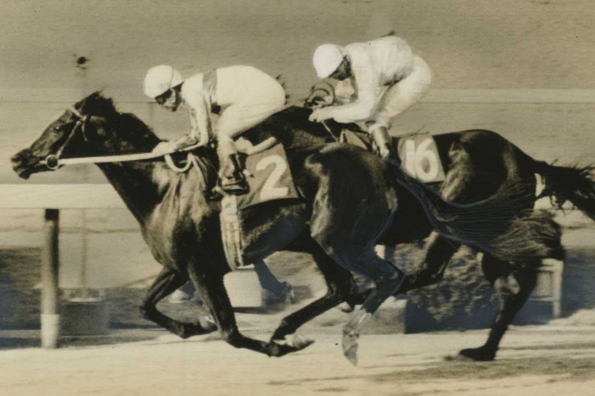 1988年有馬記念】芦毛対決！オグリキャップがタマモクロスに一矢報