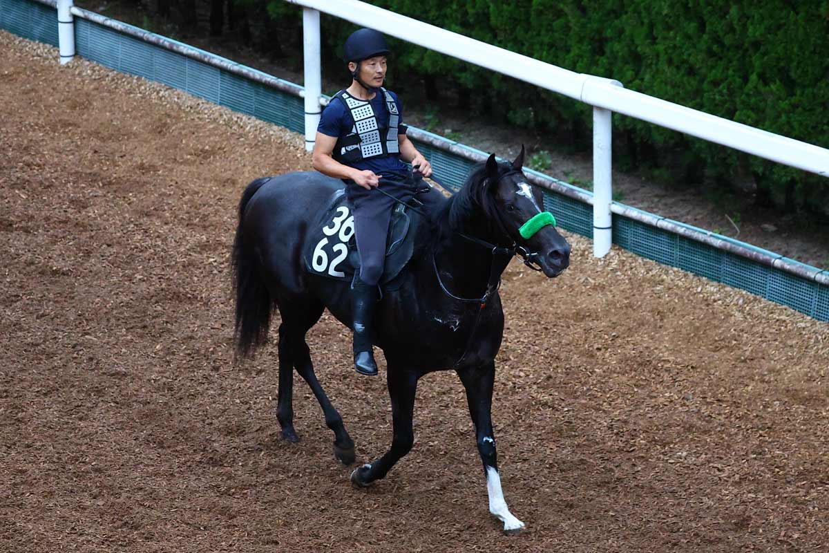 2002年・シンザン記念】タニノギムレットの「原点」 種牡馬を