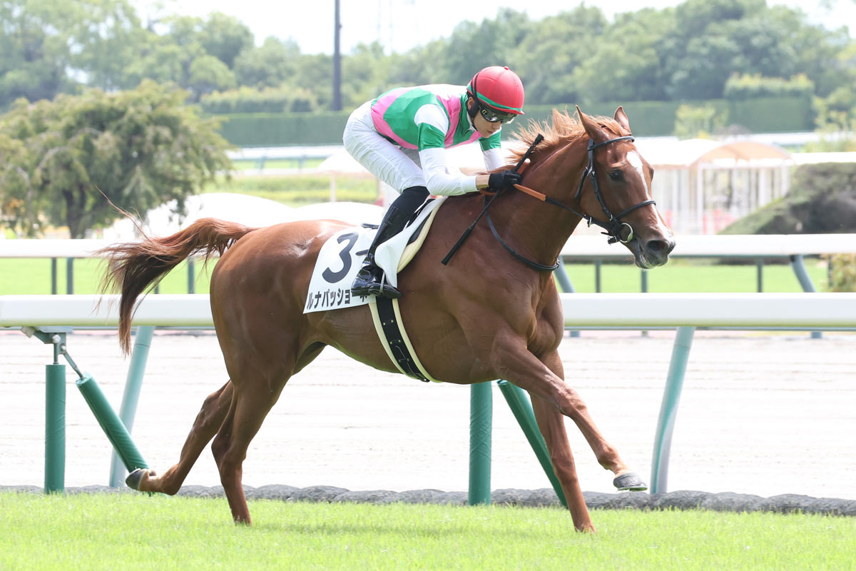 【中古】 だから競馬はやめられない 記者のベストレース2024】「これだから競馬はやめられない。最高だ