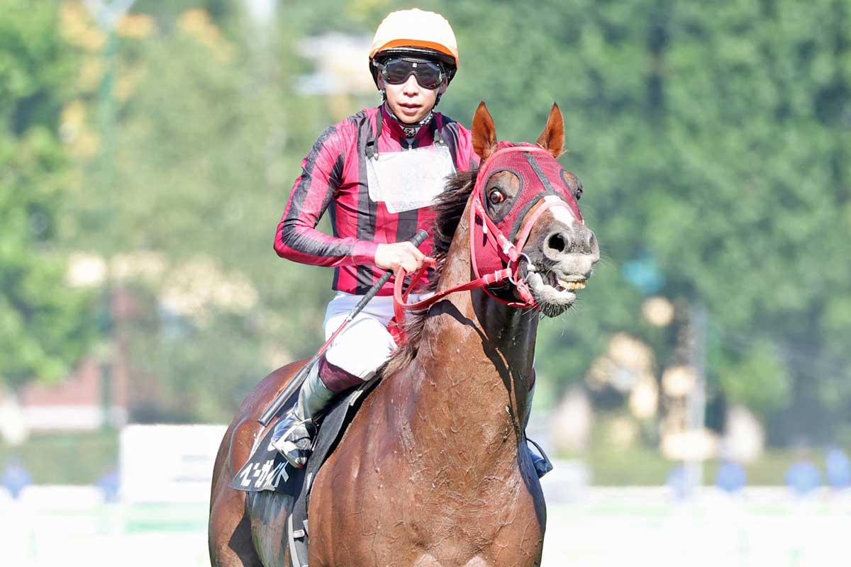 ユニコーンステークス結果＆コメント】カナルビーグル快勝 吉村誠之助