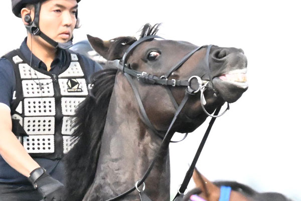 2002年・シンザン記念】タニノギムレットの「原点」 種牡馬を