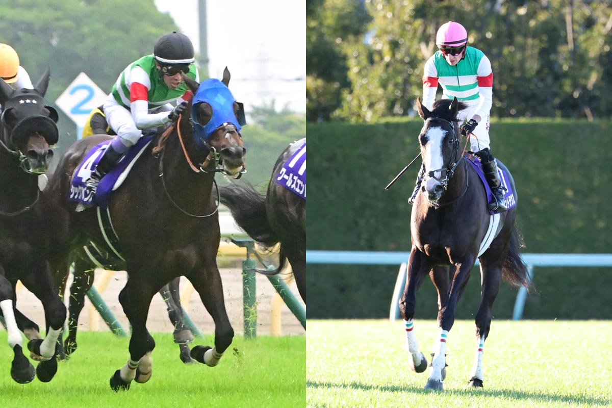 スプリンターズS展望】サトノレーヴ春秋GⅠ制覇なるか 連覇、隔年V