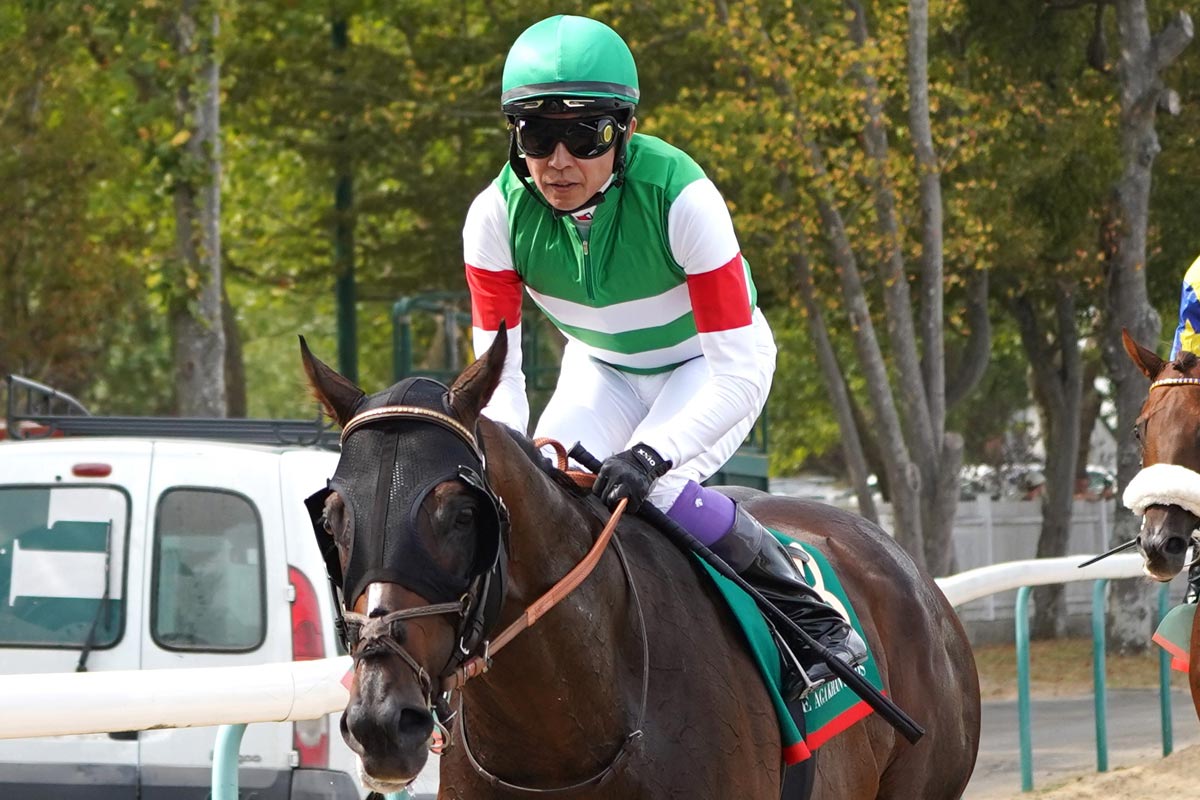 2002年・シンザン記念】タニノギムレットの「原点」 種牡馬を