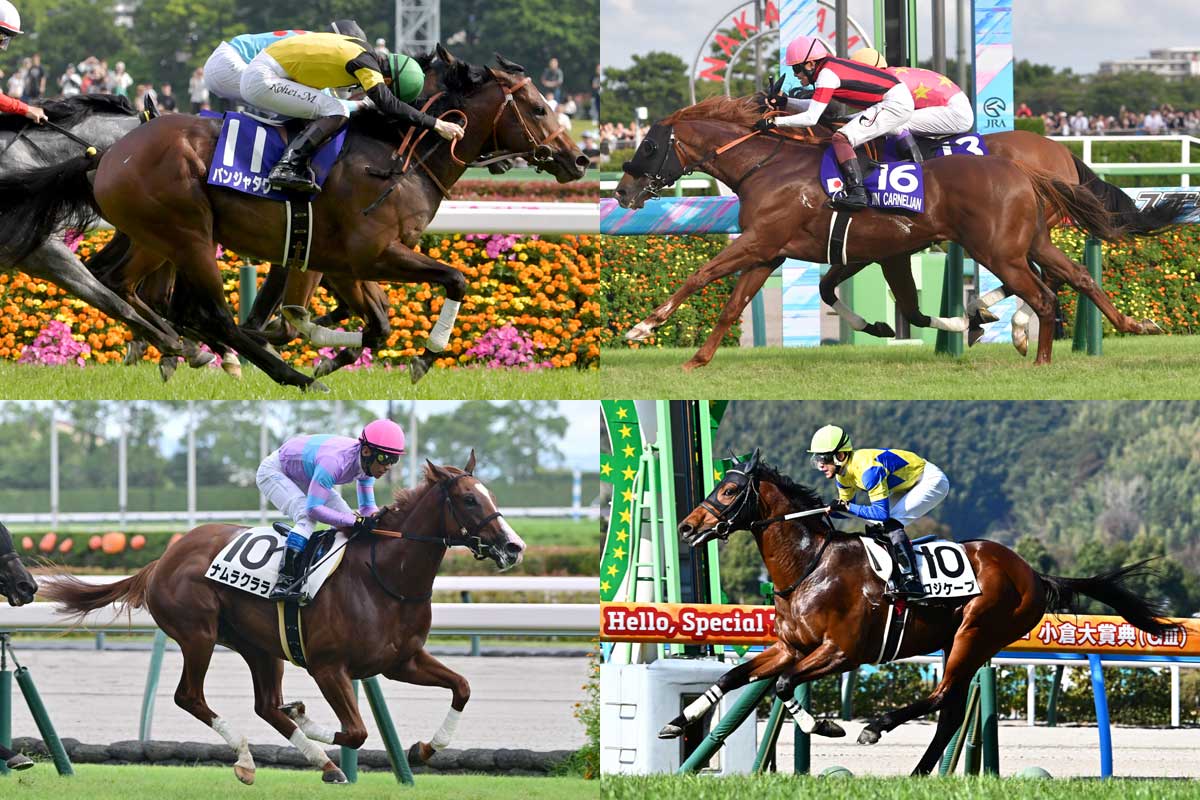 2000年フェブラリーS】ペリエとの出会いで覚醒！ウイングアローの