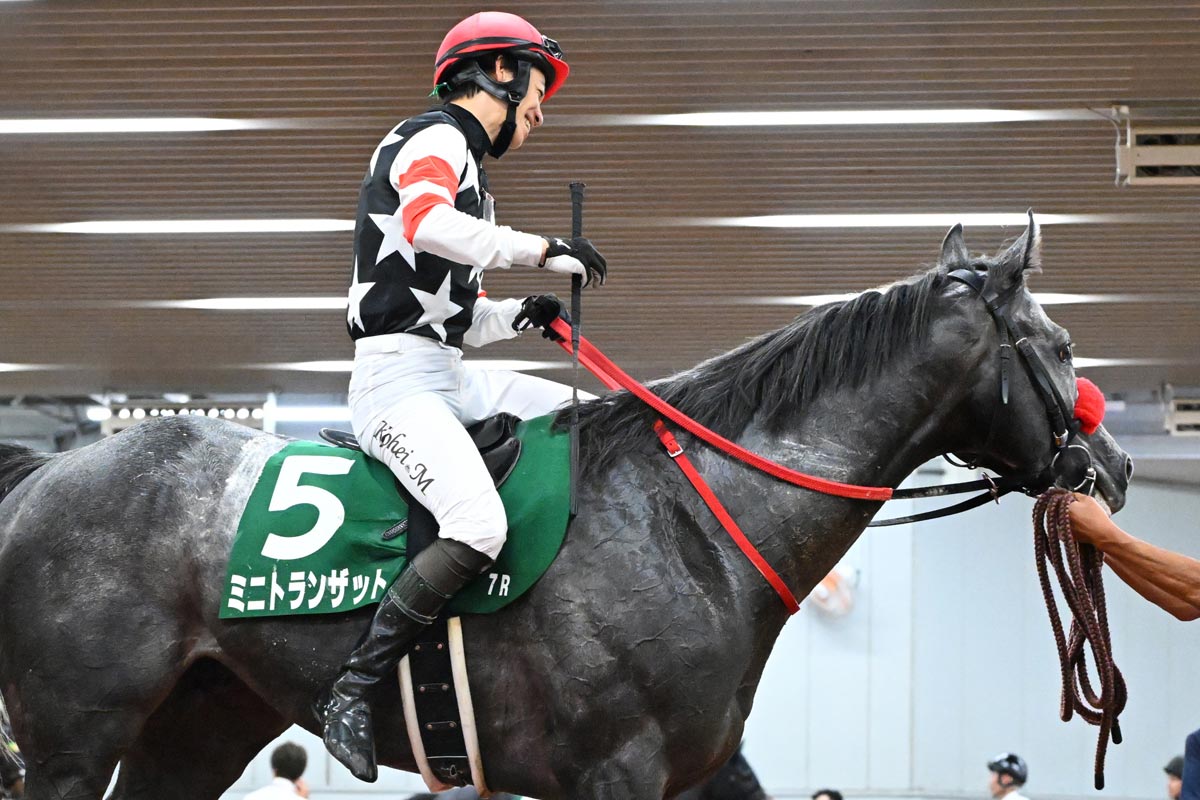 1997年フェブラリーS】初代王者は〝かみつき馬〟シンコウ