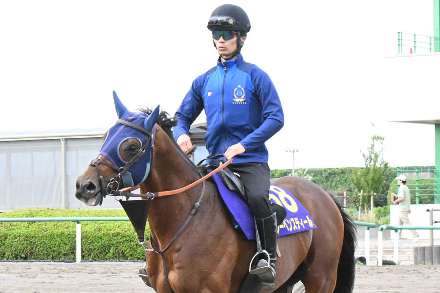 直撃】セール初参戦で牝馬最高額を落札したのは何者なのか／ノーザン