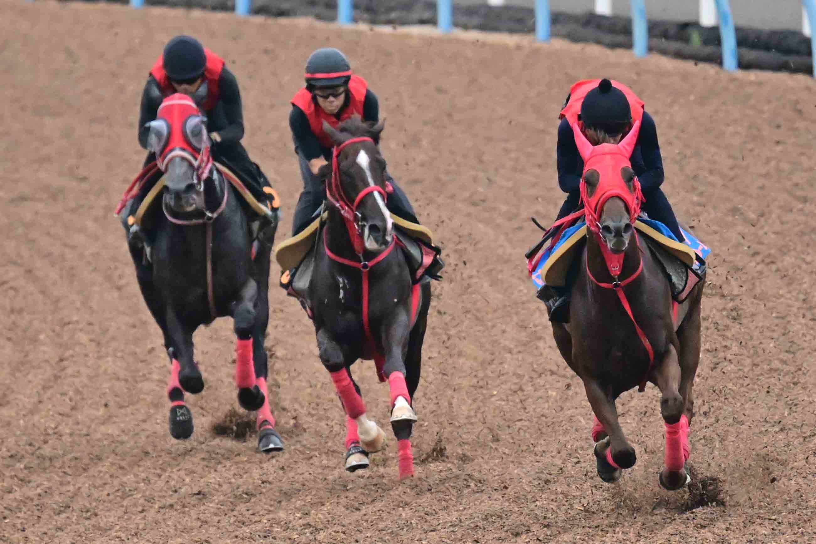 若駒のレースで大切なものとは？ 桜花賞12着の「13番人気」に印を回