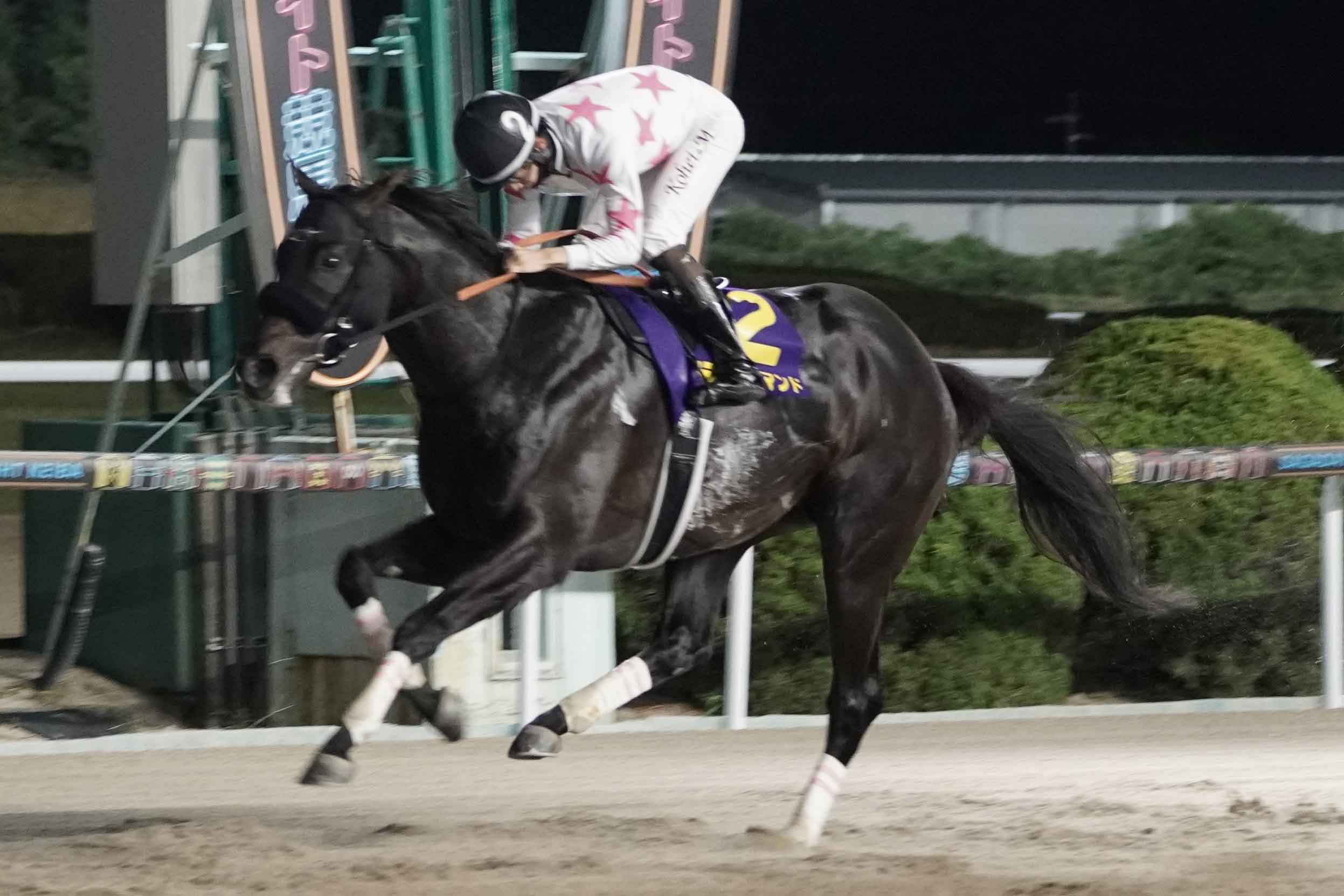 サイレンススズカが刻んだ異次元のハイラップと人々への「記憶」 希代