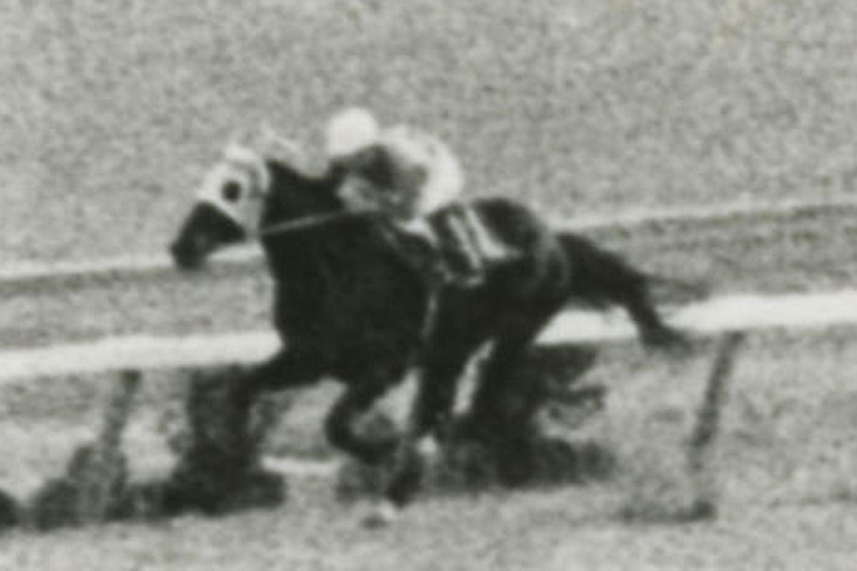有馬記念過去70年史 東スポ紙面と写真で振り返る名勝負と成績 | 競馬