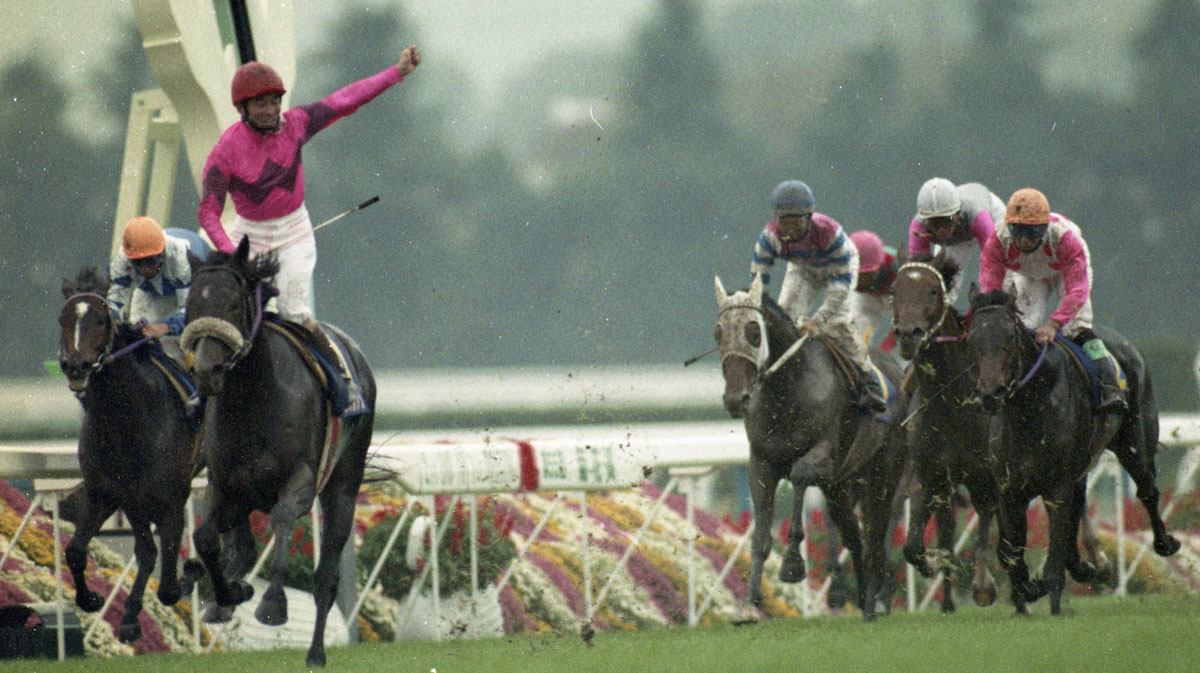 競馬秘宝館 菊花賞ぶっちぎり列伝 圧倒的な力を見せつけた名レースの数々 競馬ニュース 特集なら東スポ競馬