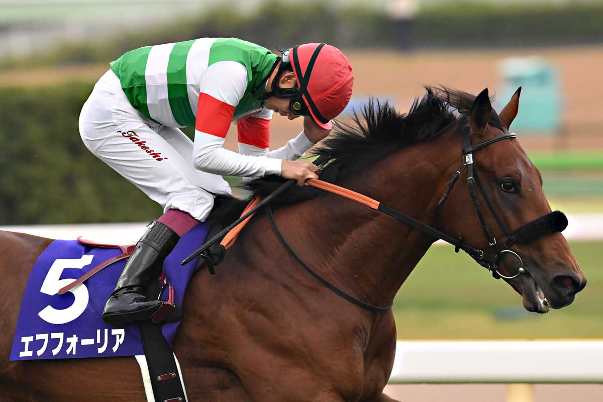 天皇賞・秋】正攻法で勝ち切ったエフフォーリア 馬匠渡辺
