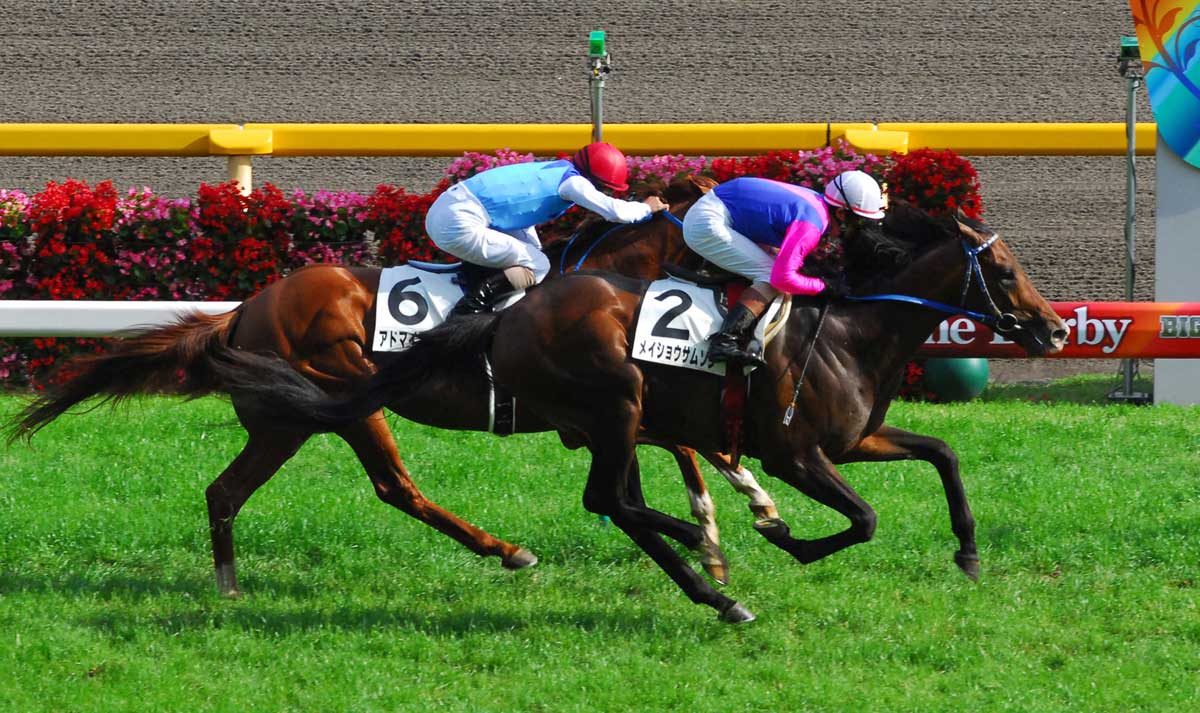メイショウサムソン 日本ダービー 東京競馬場 的中単勝馬券 石橋調教師 