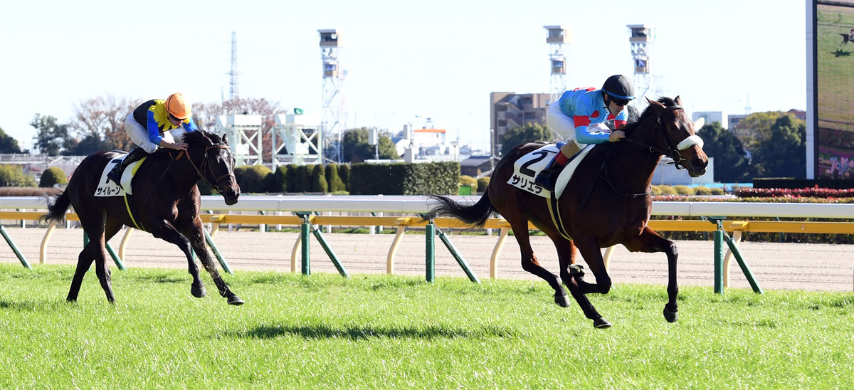 ２歳新馬 サリオスの妹 サリエラが抜群の末脚で３馬身差ｖ ルメール絶賛 マーベラス 競馬ニュース 特集なら東スポ競馬