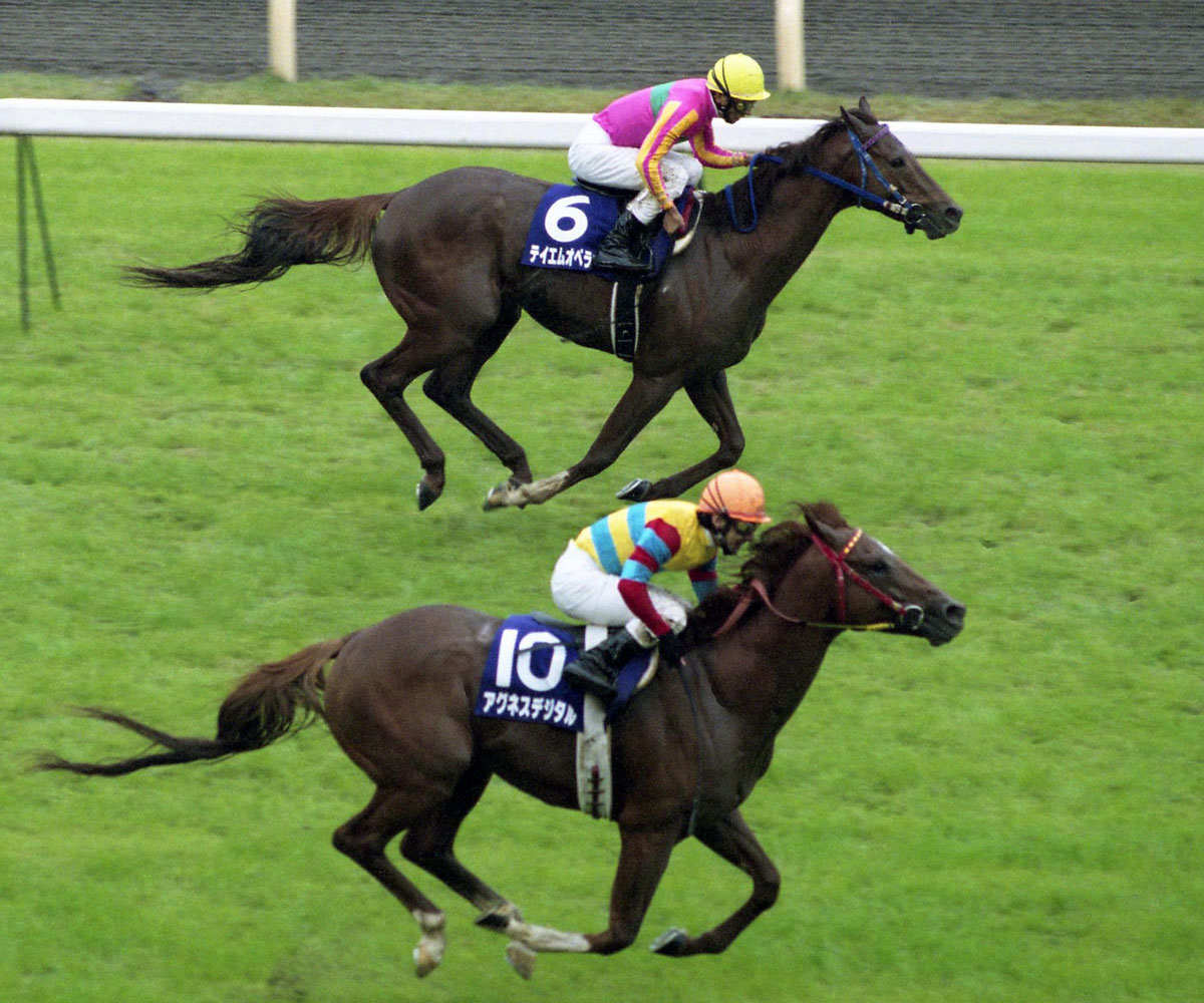 二刀流〟アグネスデジタル死す ＧⅠ６勝のオールラウンダー「ウマ娘