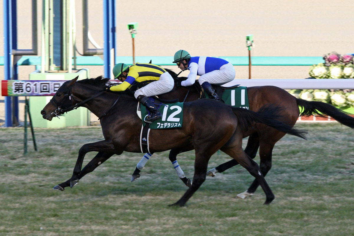 競馬 ロイヤルドルトン ニジンスキー わかり易かっ