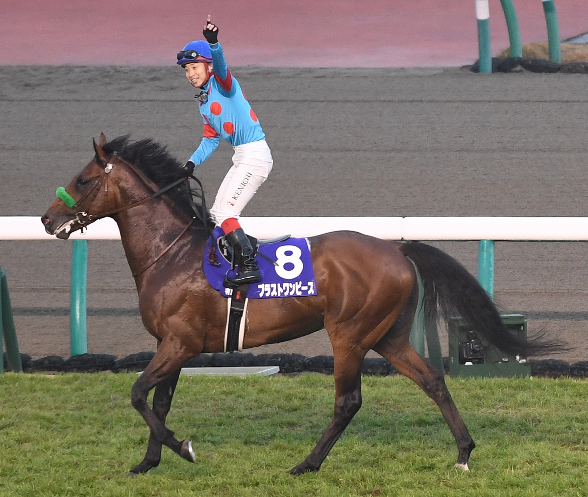 2018 年 有馬 記念