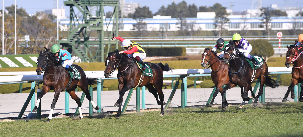 阪急杯 ８着タイセイビジョン幸 千二がベストかも １２着モントライゼ藤岡佑 久々が影響したかも 競馬ニュース 特集なら東スポ競馬