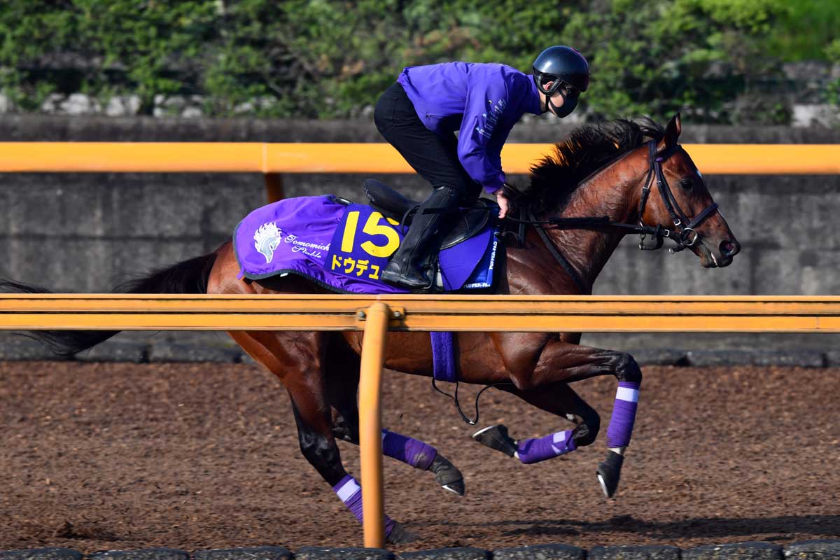 日本ダービー １週前特報 ドウデュースは武豊にすべてを託す 勝ち負けできるコンビと思っています 競馬ニュース 特集なら東スポ競馬