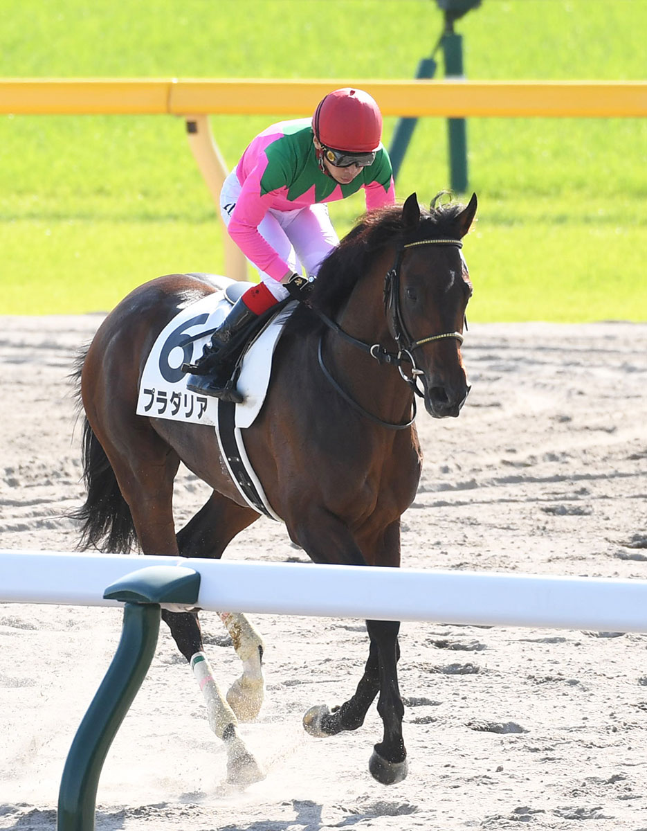 日本ダービー】〝兄弟船〟で臨んだプラダリアは気概の5着 池添「皐月