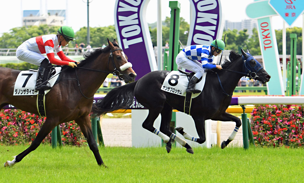 新馬勝ち２歳総点検 超高額馬の猛追しのいだオンザブロッサム 新馬とは思えない精神力 競馬ニュース 特集なら東スポ競馬