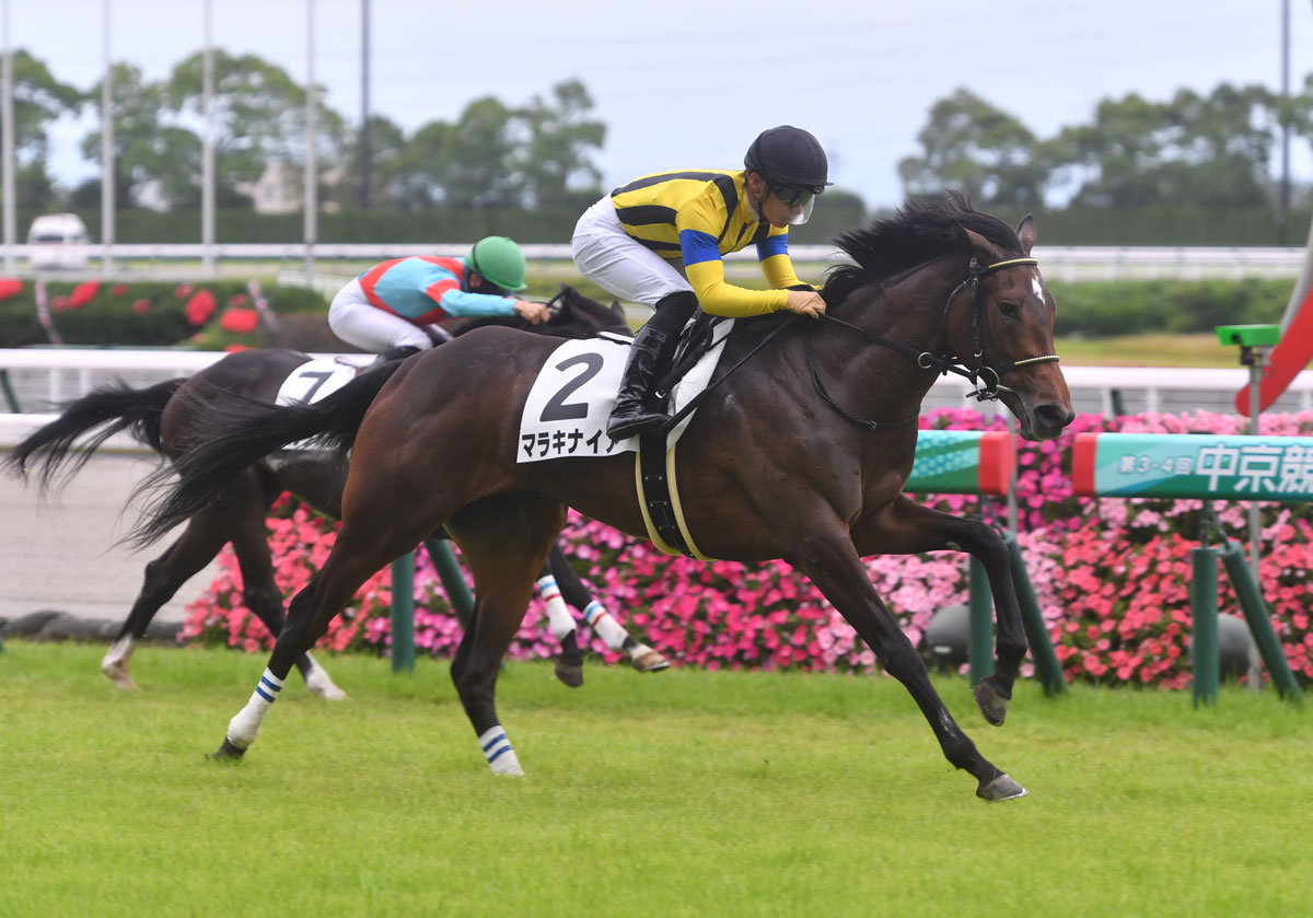 新馬勝ち２歳総点検 超高額馬の猛追しのいだオンザブロッサム 新馬とは思えない精神力 競馬ニュース 特集なら東スポ競馬