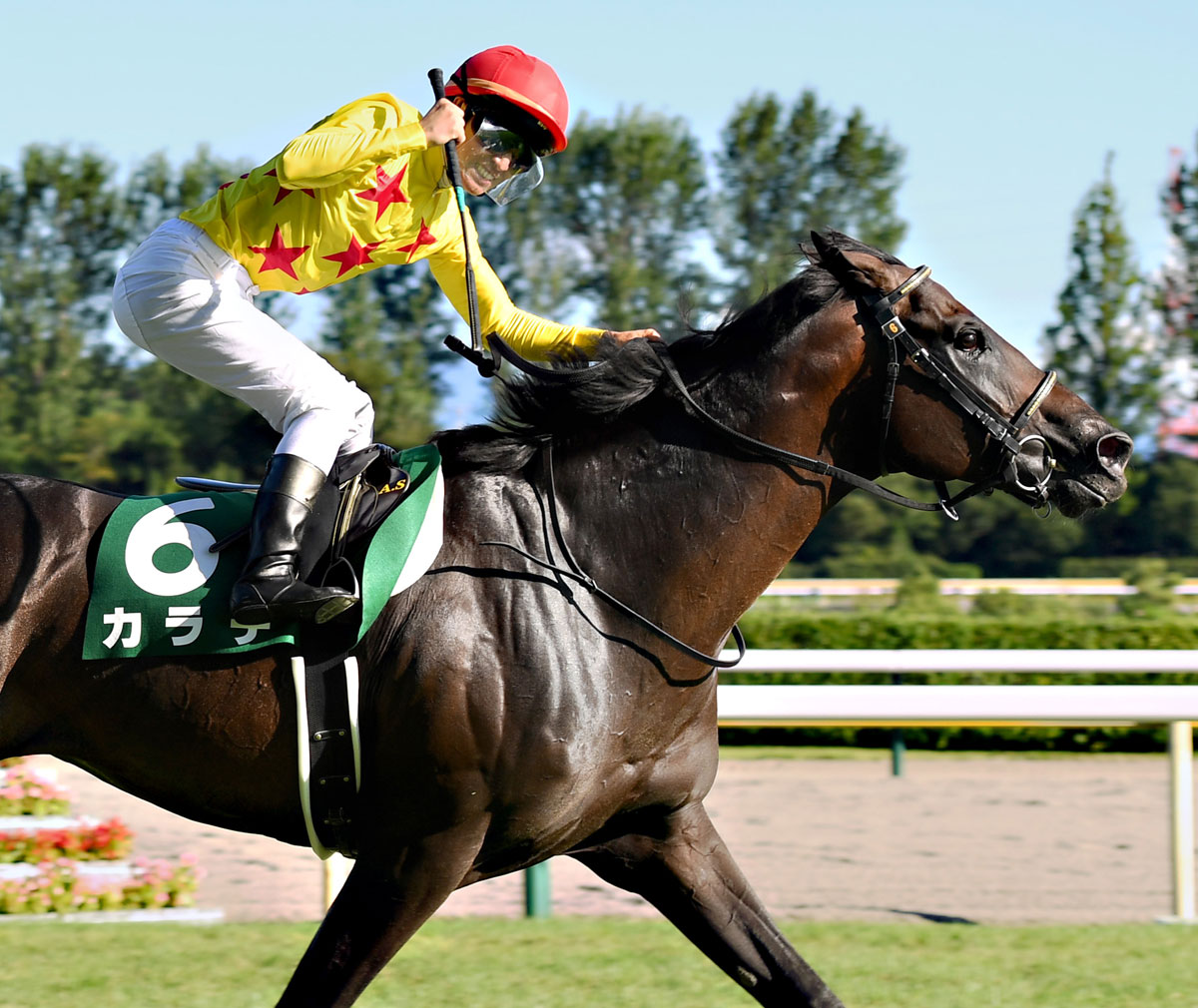 新潟記念結果 コメント １番人気ヒートオンビートは５着 池添 こんな馬ではないんですけどね 競馬ニュース 特集なら東スポ競馬