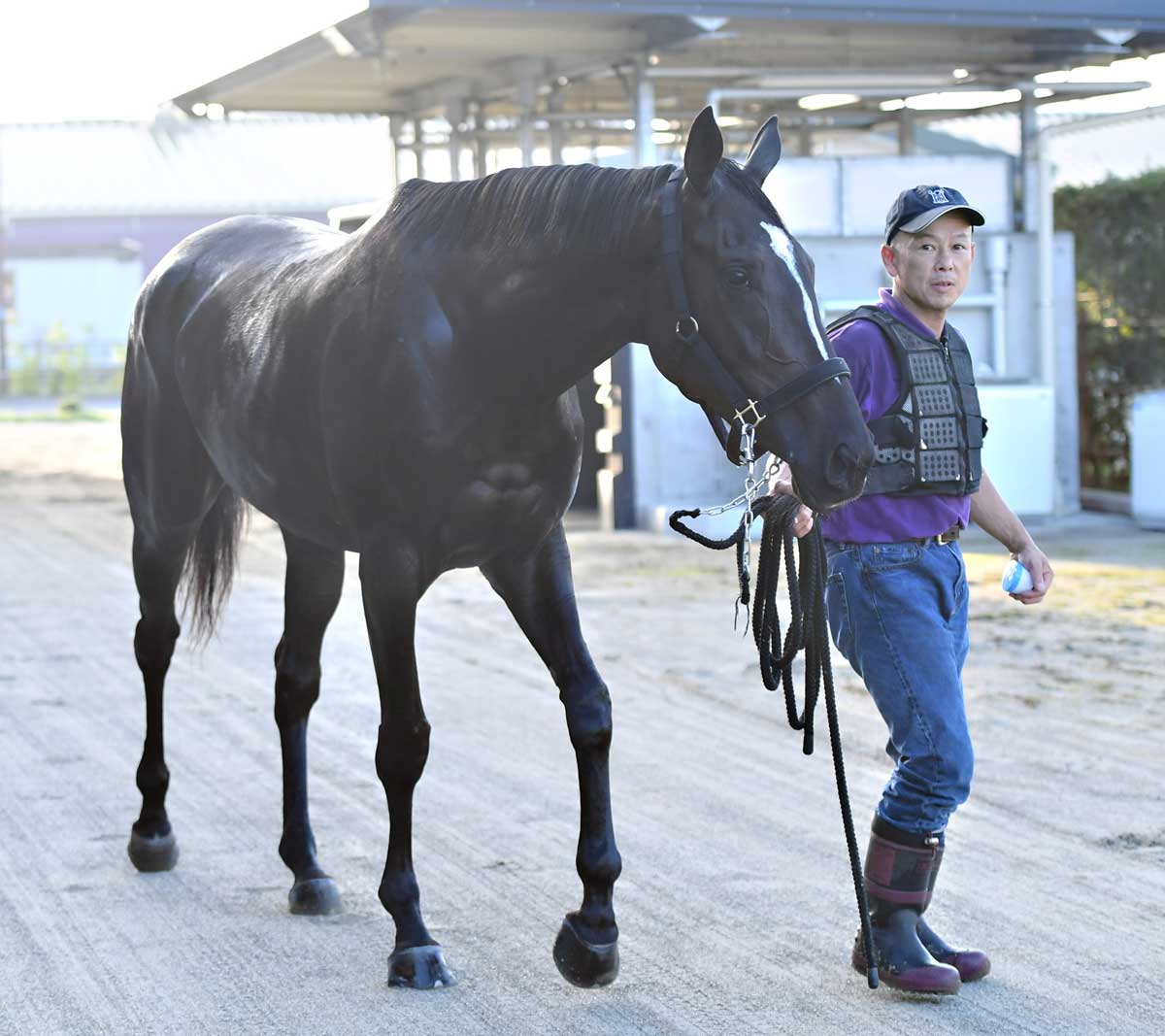注目新馬】ゴールドシップ産駒らしからぬ！？「真面目な性格」ヴァイル