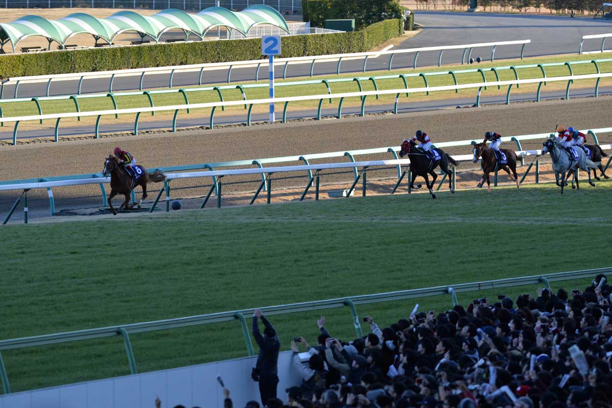池添謙一連載【54】オルフェーヴルのラストラン有馬当日「楽しもう 