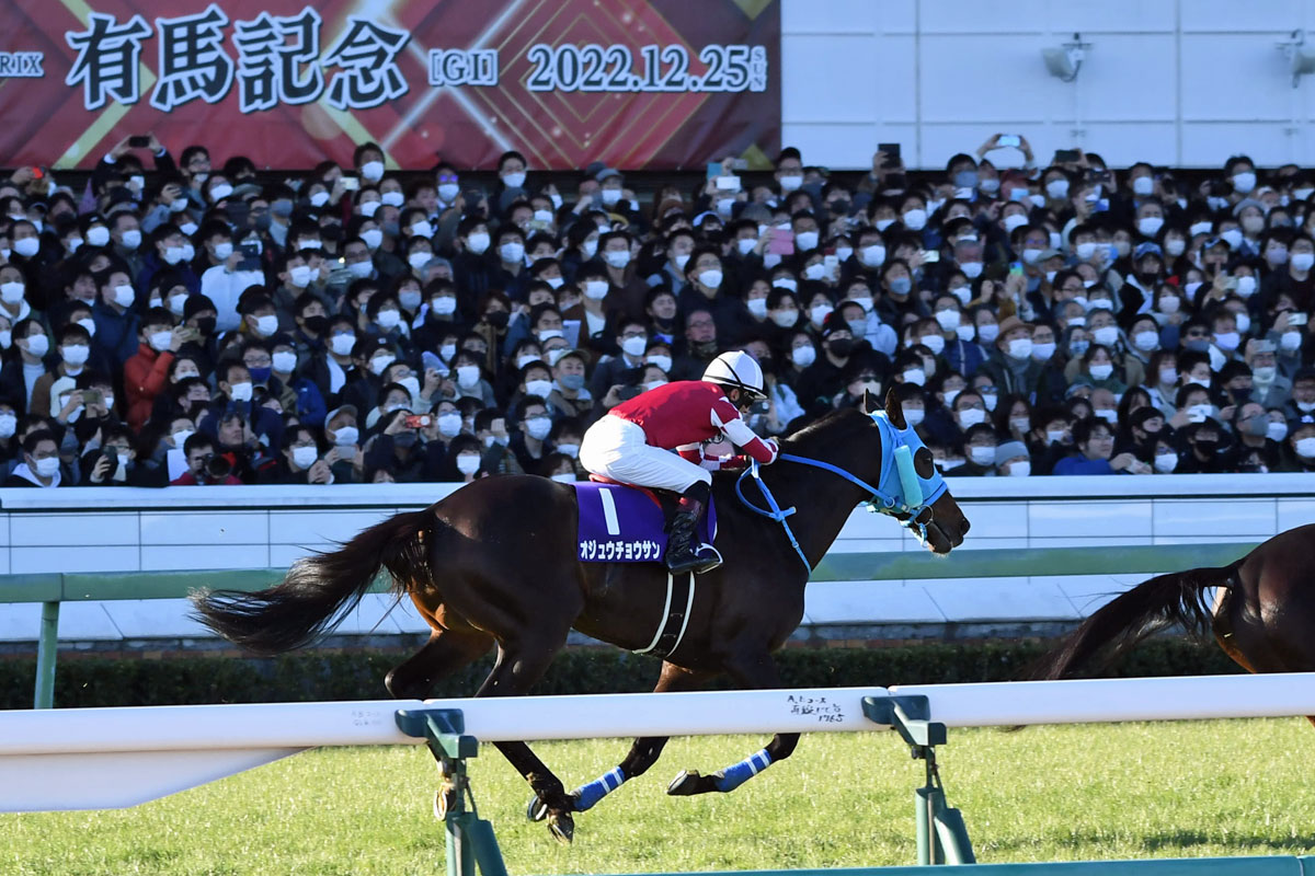中山大障害】障害重賞初挑戦のニシノデイジーが頂点へ 五十嵐