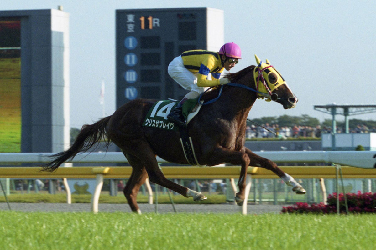 吉田豊連載【18】順調ならGⅠ取れた器だったクリスザブレイヴ