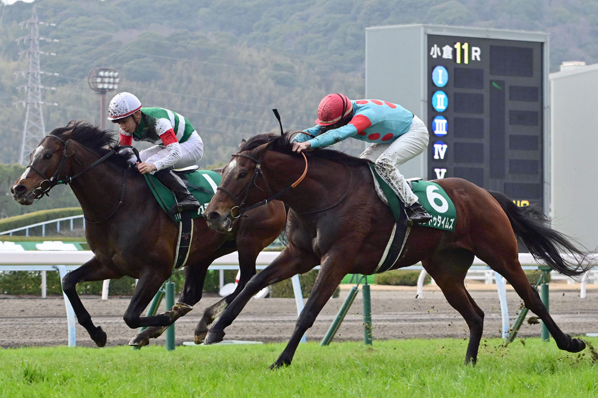  「ニューヨーク・タイムズ」がアプリ内購読によるデジタルアクセスを発表