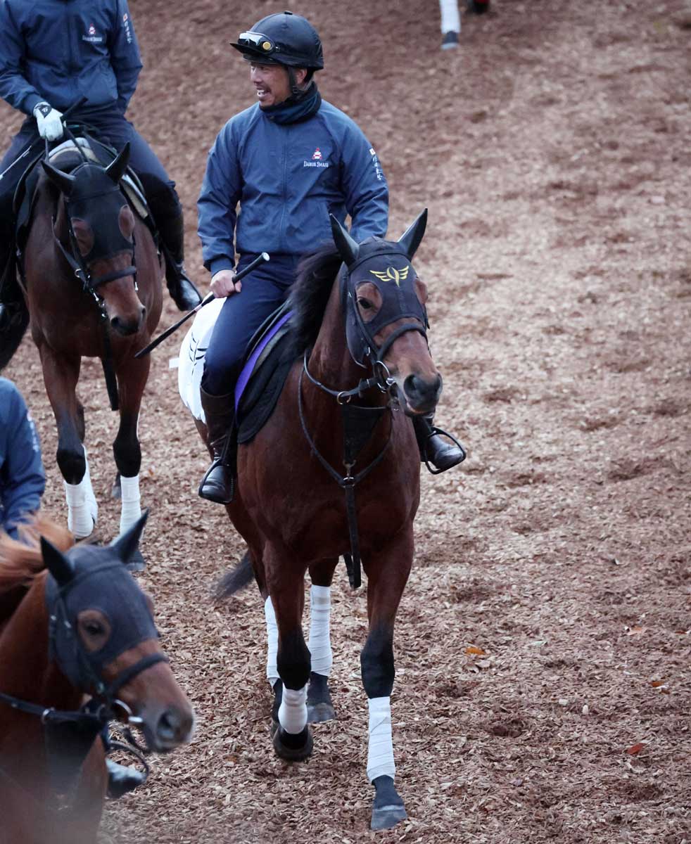 JRA 川田将雅J ダノンタッチダウン号 G1皐月賞 競馬実ゼッケン