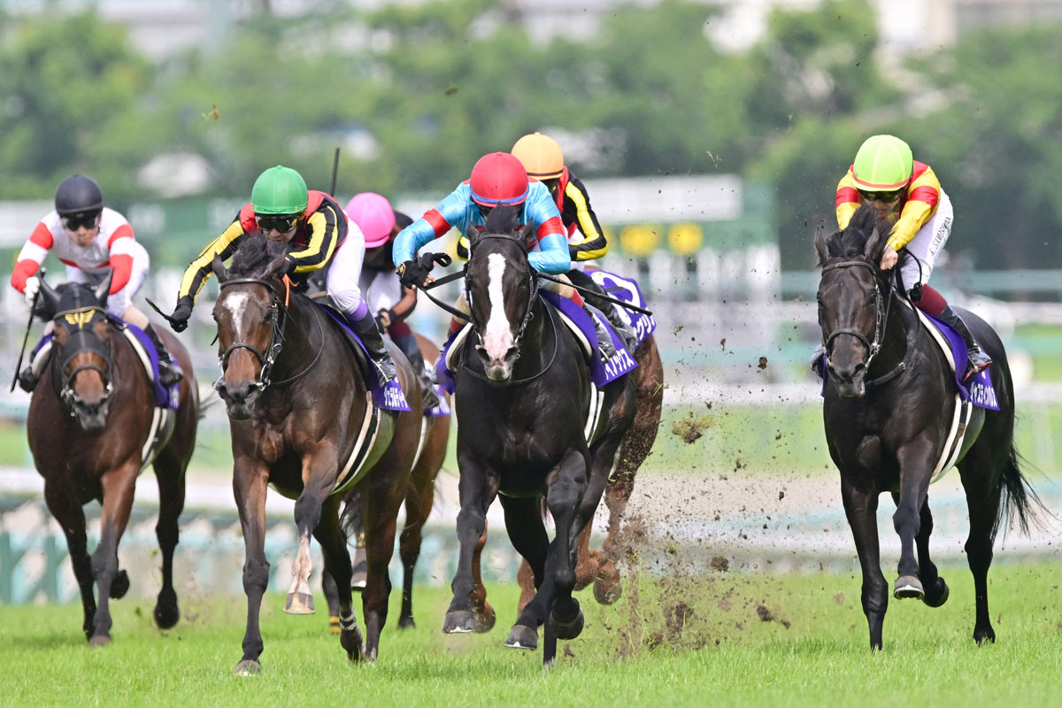 競馬予想は東スポ競馬！