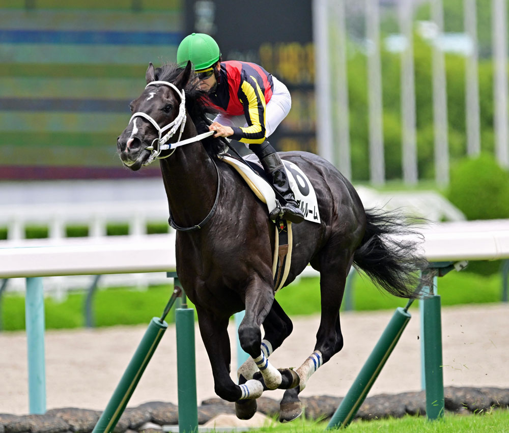 2歳新馬】直線で内から伸びたギャンブルルームが5馬身差の圧勝 松山