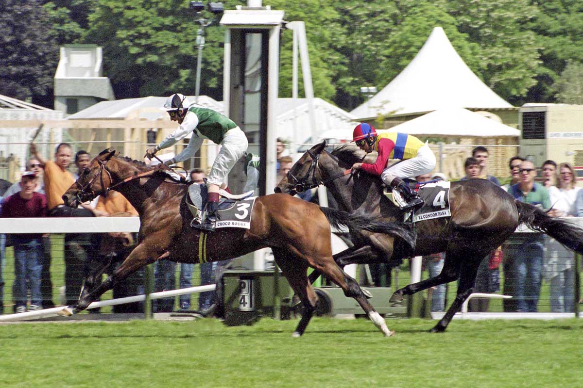 エルコンドルパサー連載【16】初戦仏GⅠイスパーン賞「勝った エルコンドルパサー連載【16】初戦仏GⅠイスパーン賞「勝った