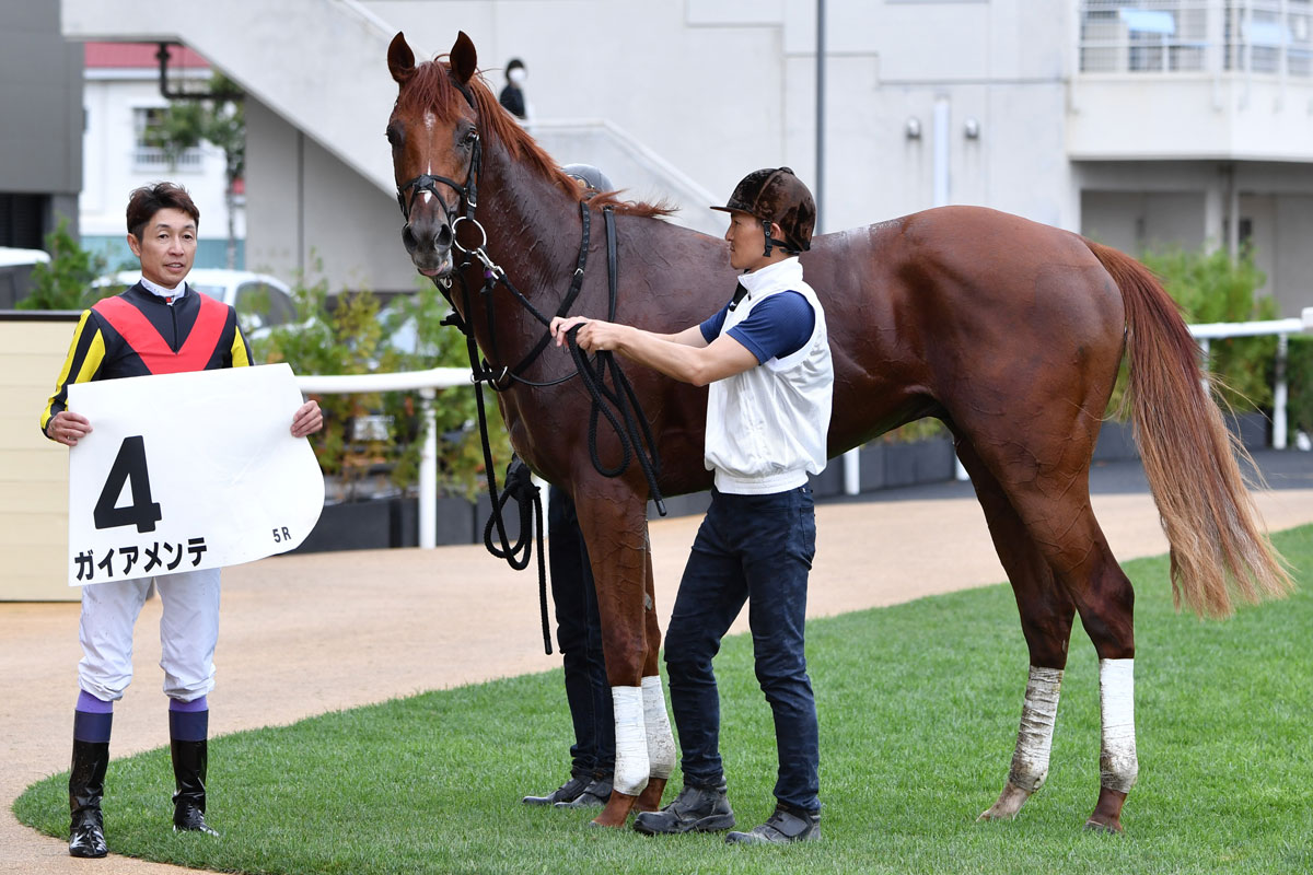 武豊の手綱で札幌2歳S制覇へ ドゥラメンテ産駒の素質馬ガイアメンテ 