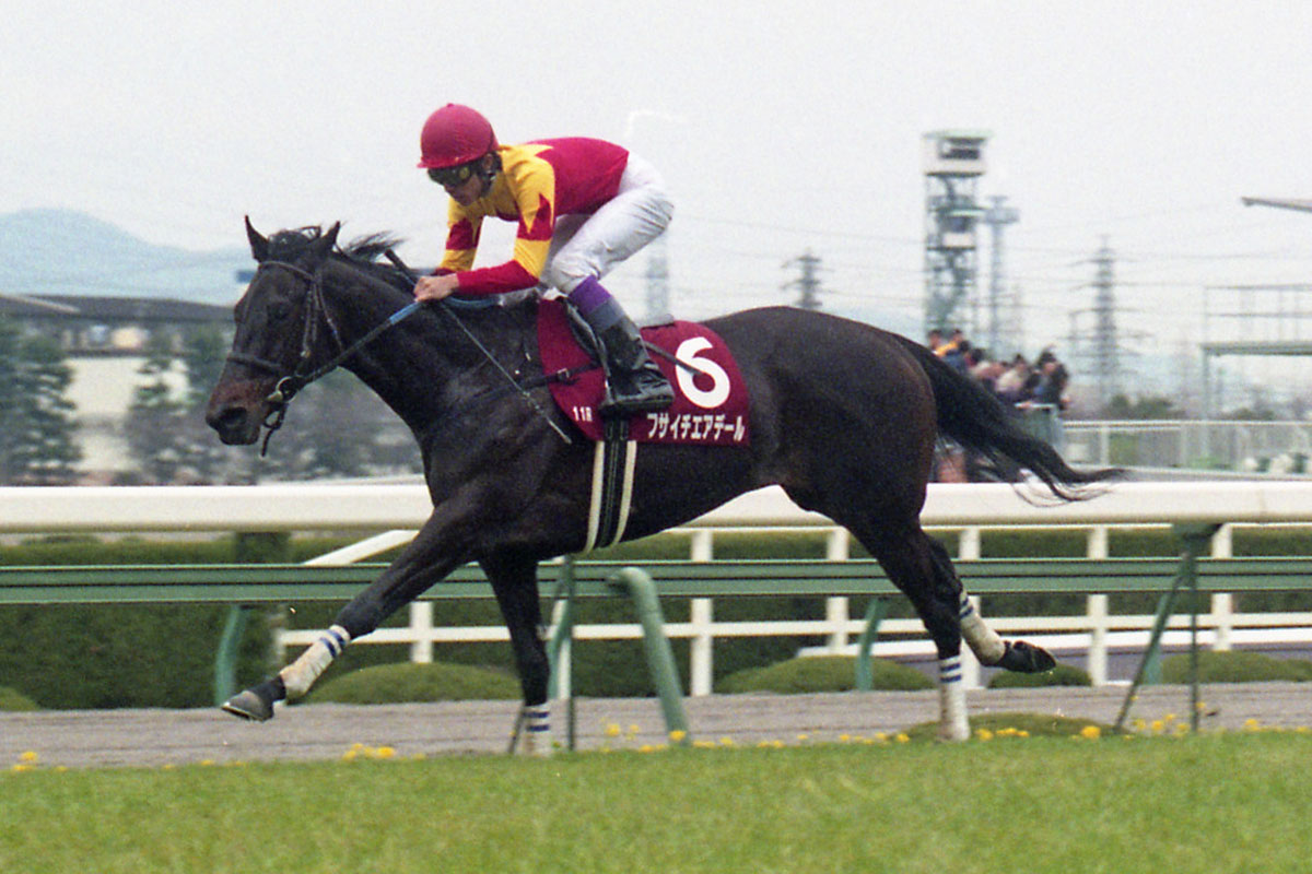 白井元調教師と学ぶ血統学【97】〝GⅠ勝ち〟だけじゃない