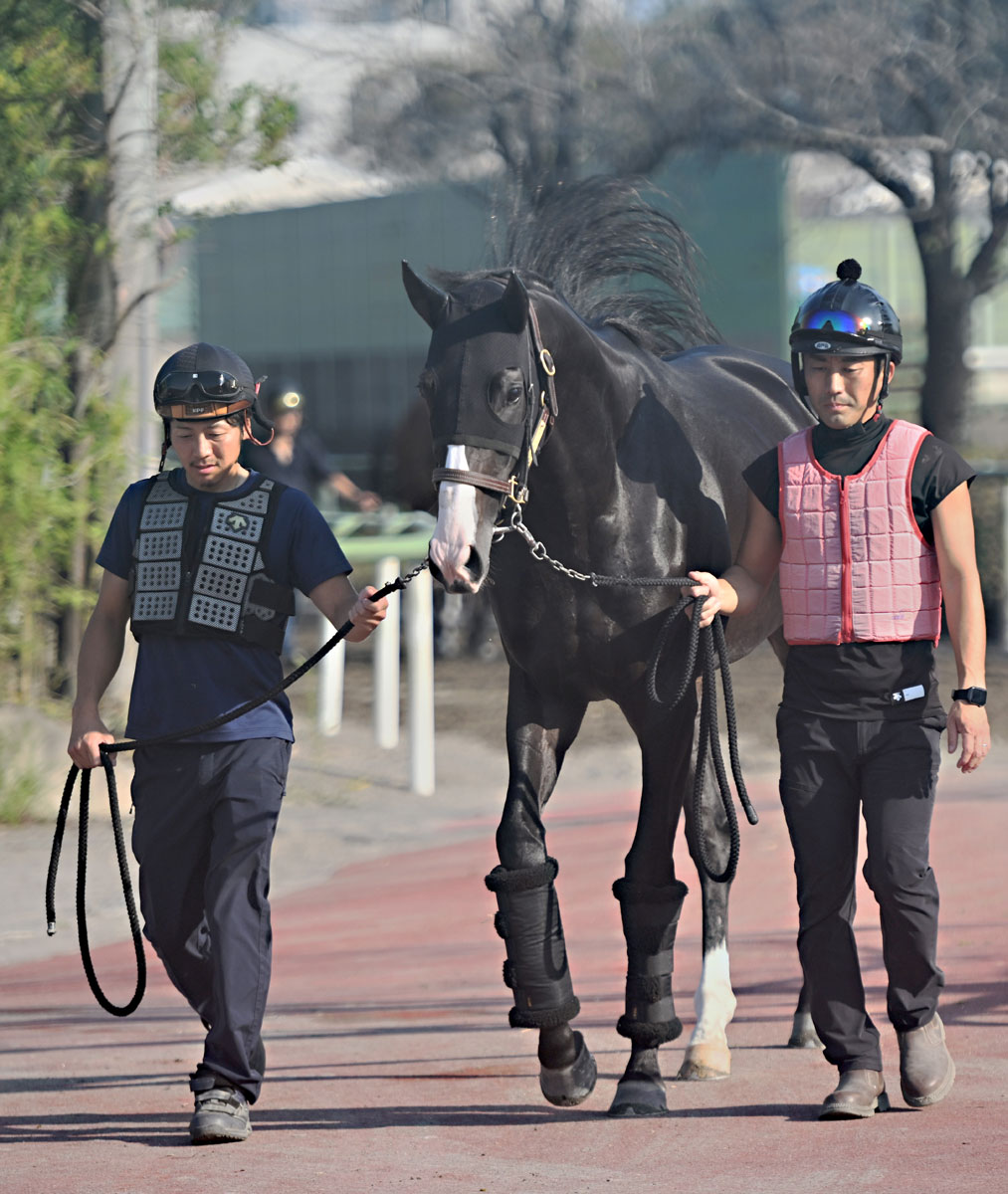 世界最強イクイノックスが美浦トレセンに帰厩 木村調教師「目の前の