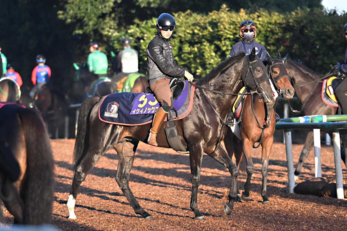 天皇賞秋・耳より】イクイノックス〝世界1位〟の走りを見せつける