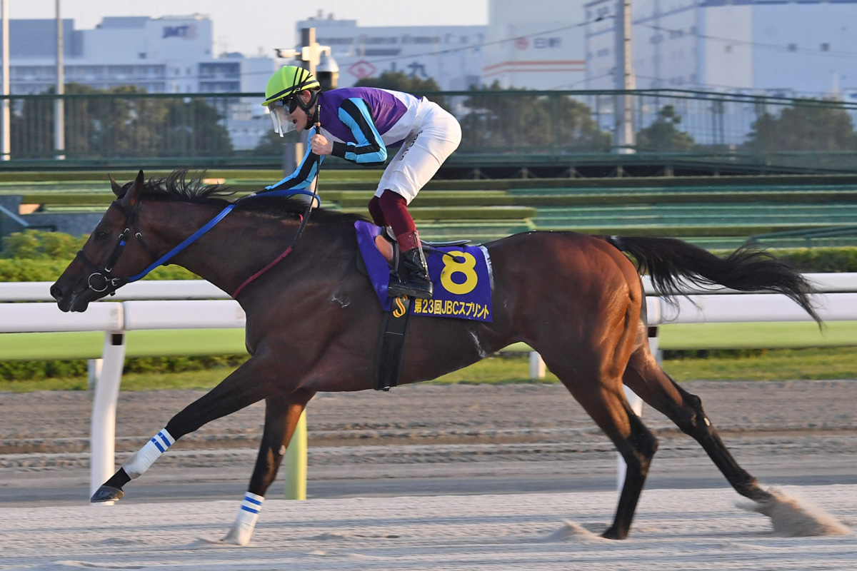 第23回 JBCスプリントJpnⅠ 的中単勝馬券 第23回 JBCスプリント 第23回 JBCスプリントJpnⅠ 的中単勝馬券 第23回 JBCスプリント