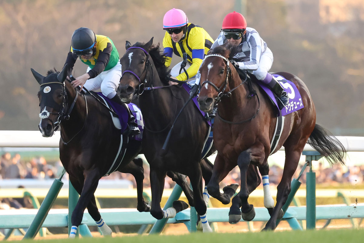 ドウデュース 錆びつき 天皇賞(秋) 出走馬ミニゼッケン