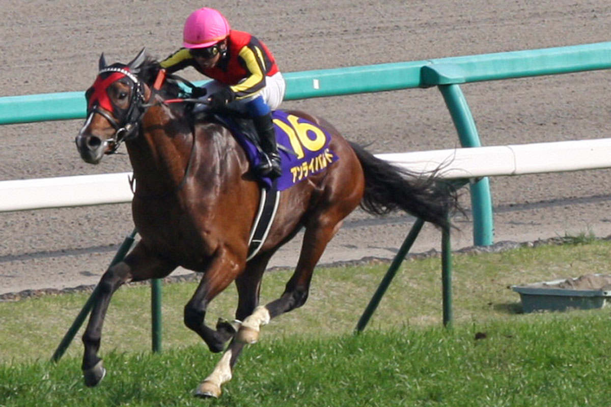 白井元調教師と学ぶ血統学【121】ダービー馬ロジユニヴァース、皐月