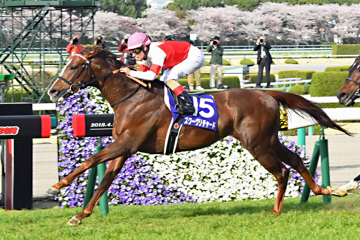 白井元調教師と学ぶ血統学【132】ハーツクライの遺産 ダービー馬